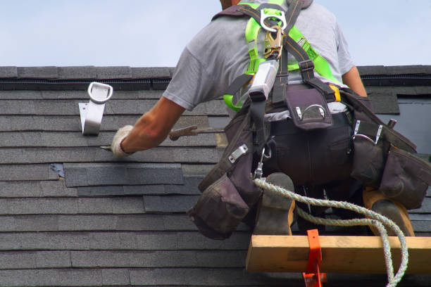 Best Wood Siding Installation  in Montague, MI