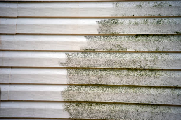 Best Fiber Cement Siding Installation  in Montague, MI