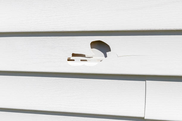 Best Residential Vinyl Siding Installation  in Montague, MI