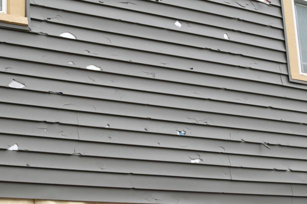 Best Steel Siding Installation  in Montague, MI