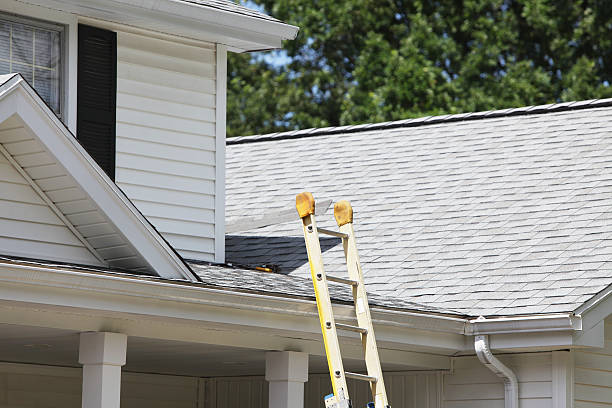 Best Siding Painting and Refinishing  in Montague, MI